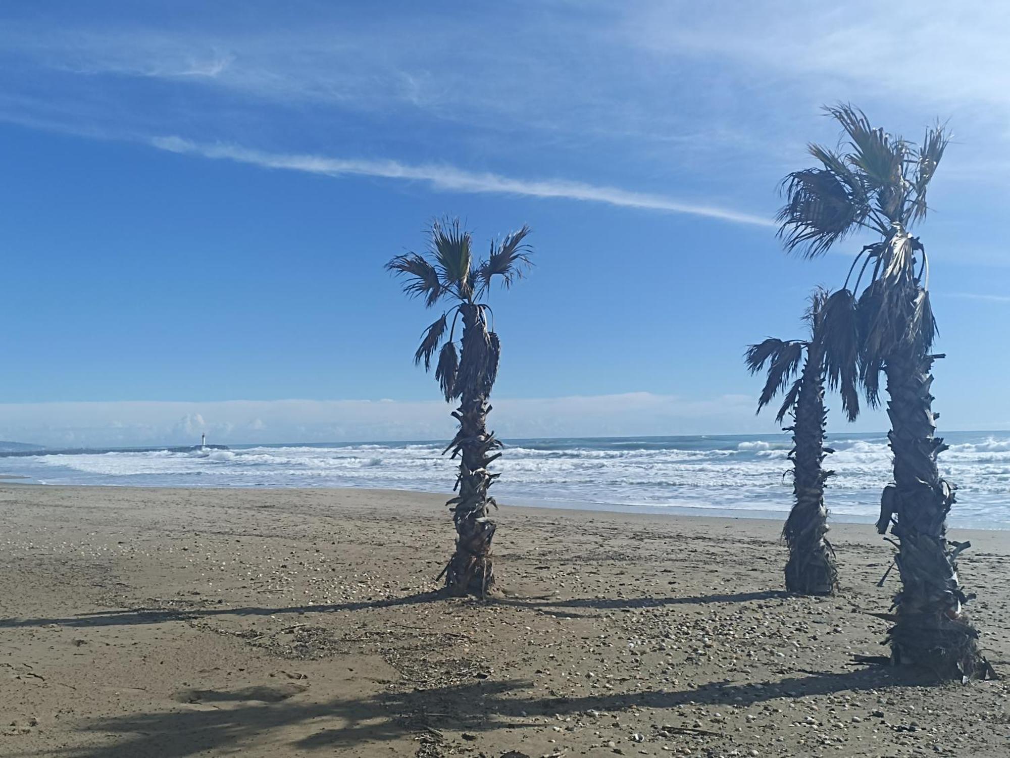 Cap D'Agde Port Lano T2 Clim, Piscine, Tennis Et Parking Exterior foto